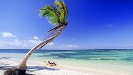 Beach and Palm Tree Beach and Palm Tree