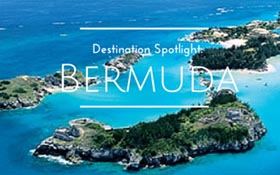 Bermuda Spotlite
