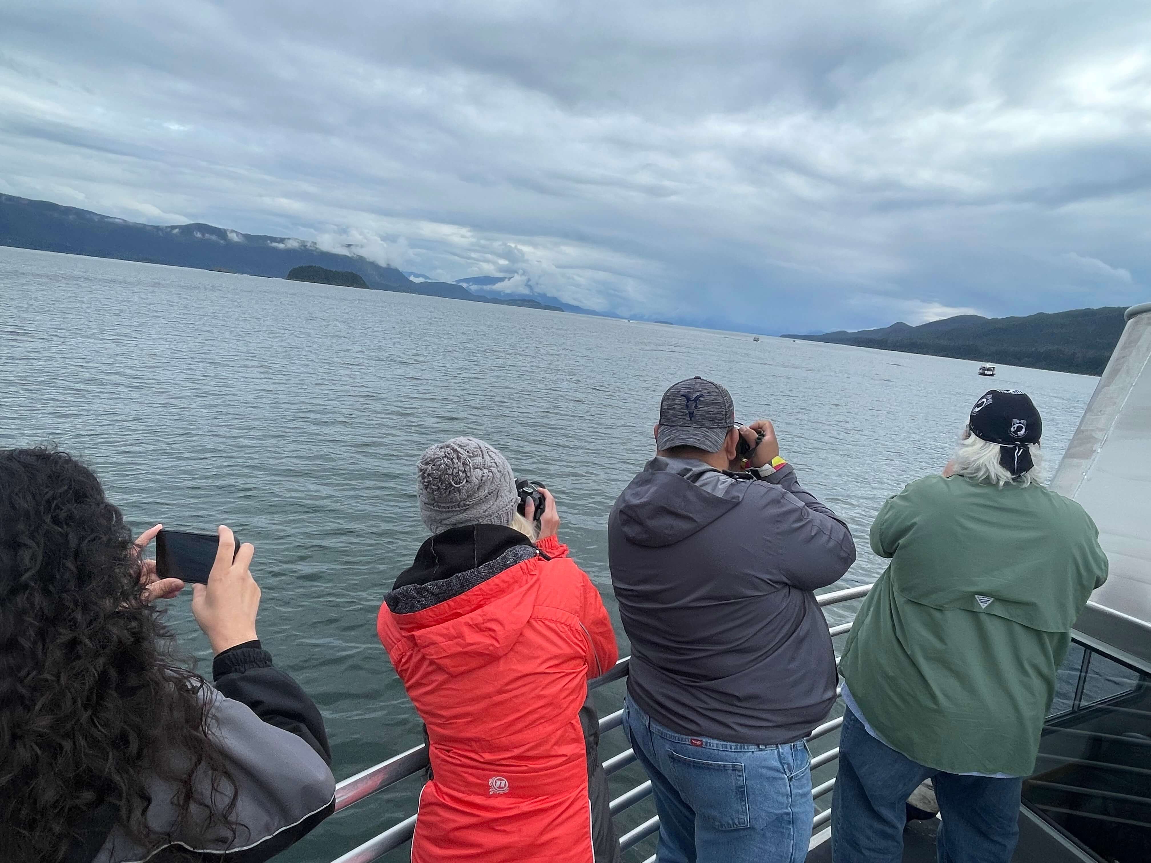 Whale Watching Whale Watching