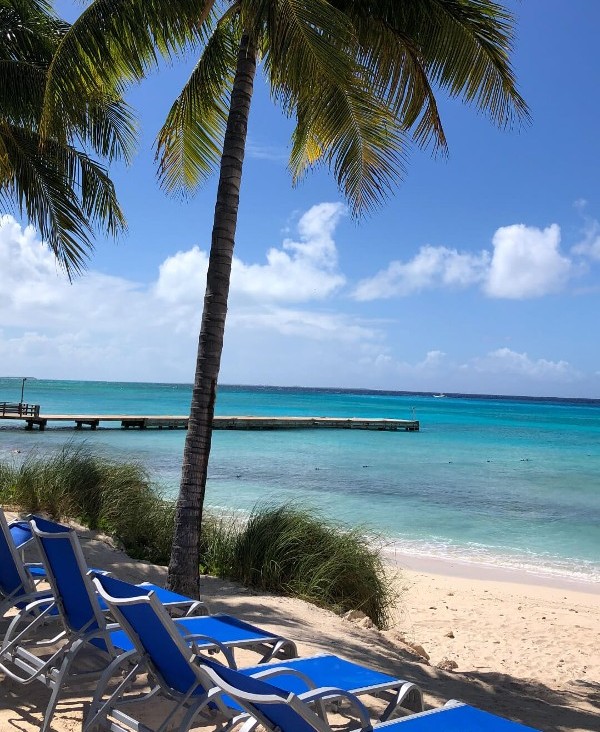 Brain Health Beach Day