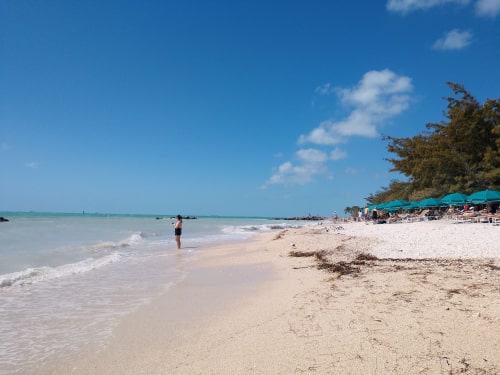 Elite Cruises - Key West Beach Elite Cruises - Key West Beach