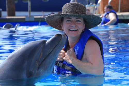 Elite Cruises Dolphin Excursion