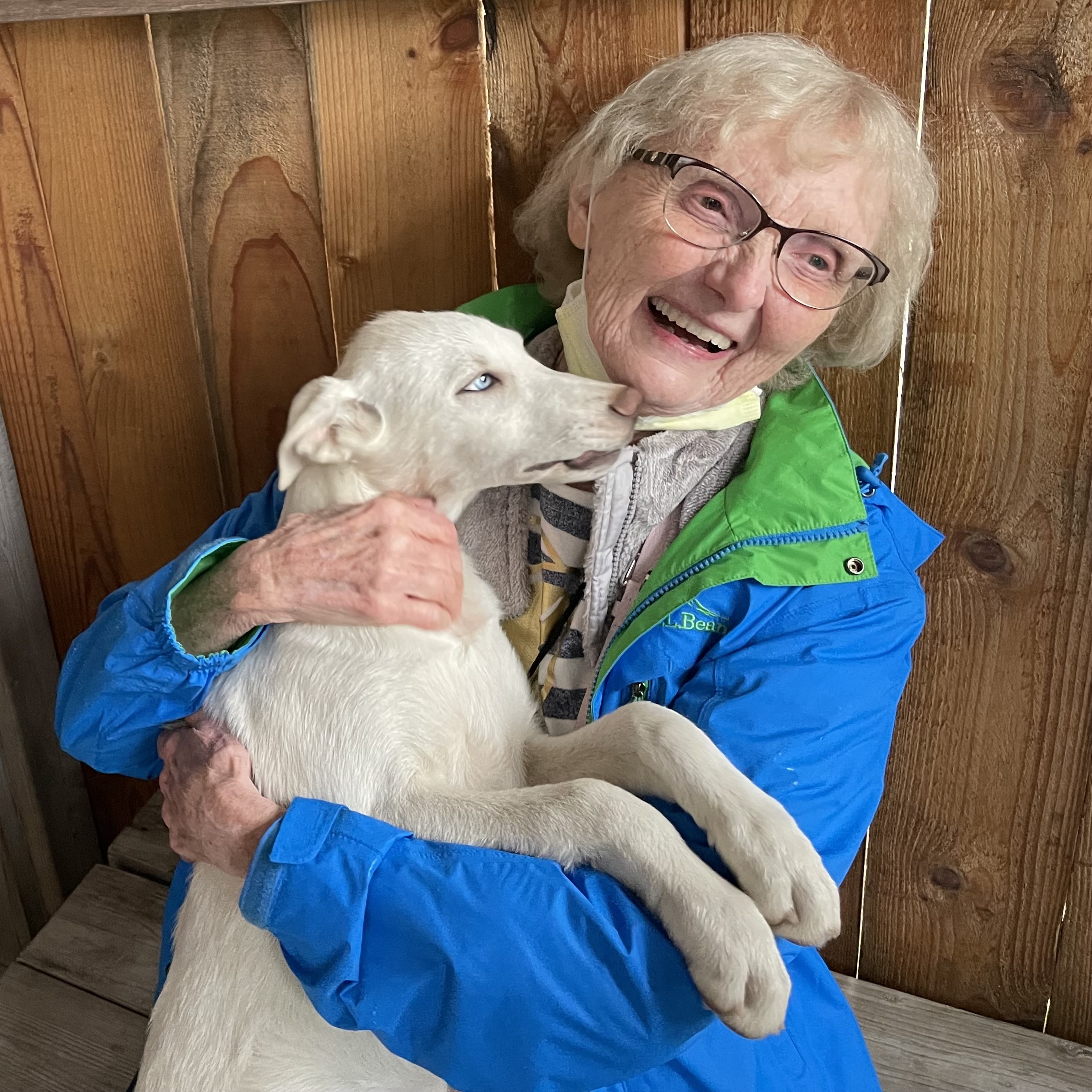 Woman with a Sled Dog