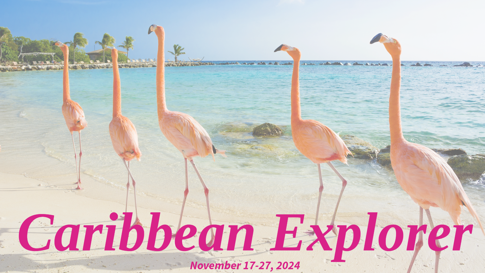Caribbean Explorer