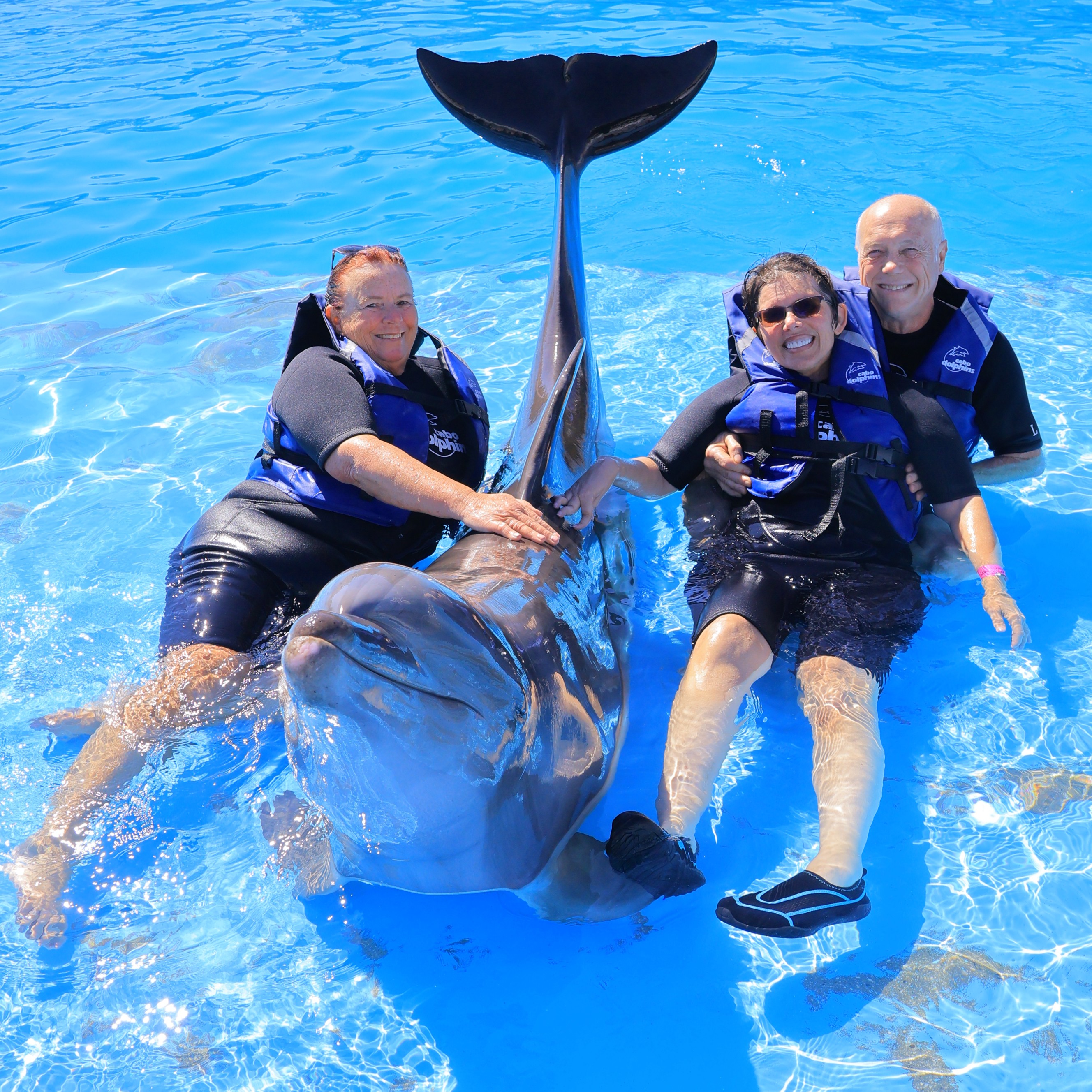 Mexico Dolphin Encounter