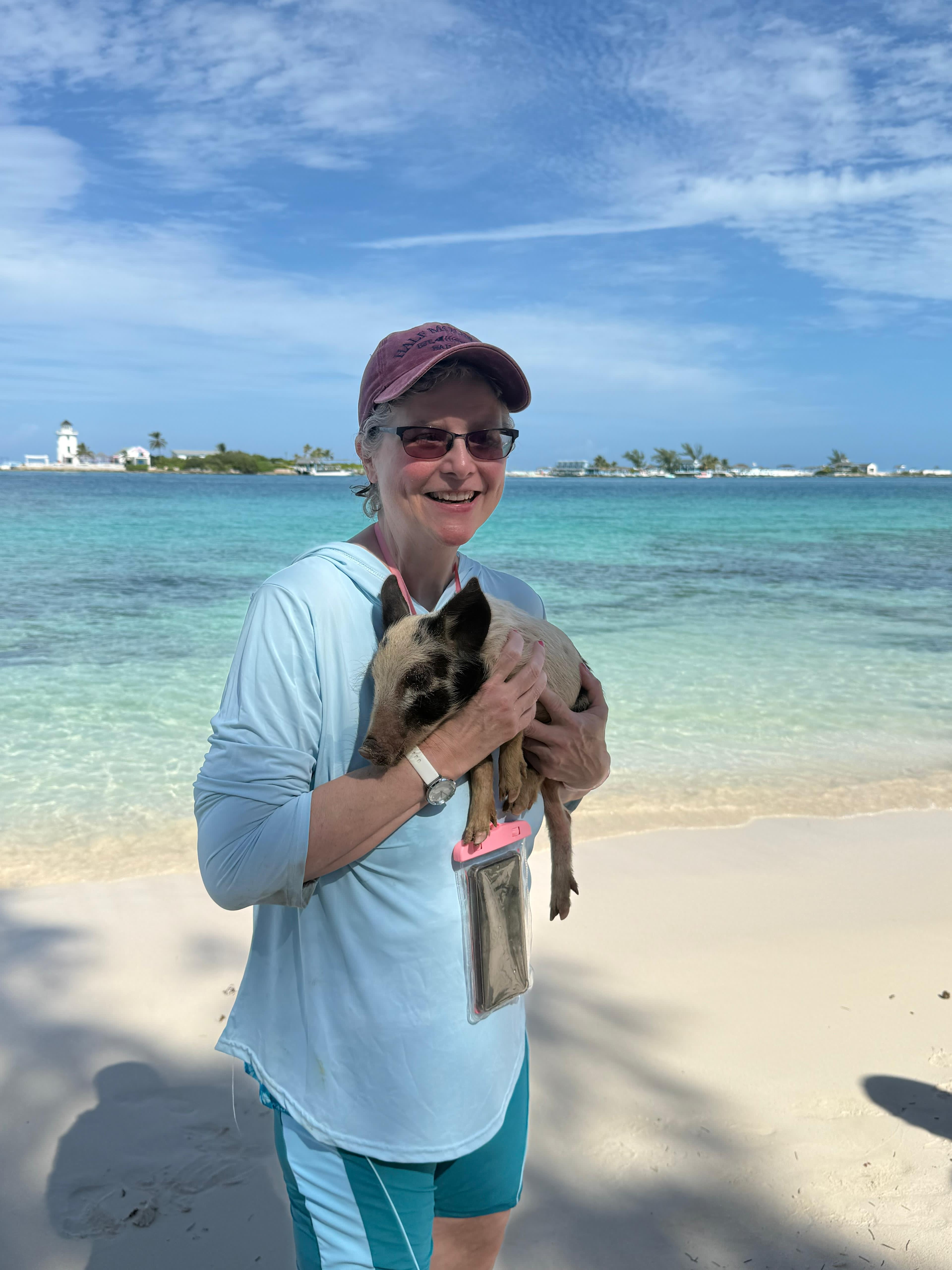 Bahamas pig Bahamas pig