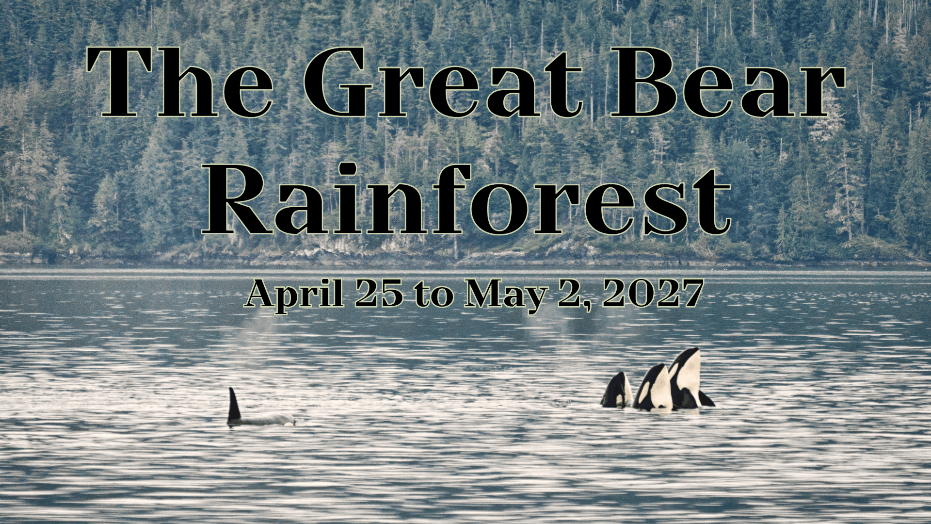 The Great Bear Rainforest