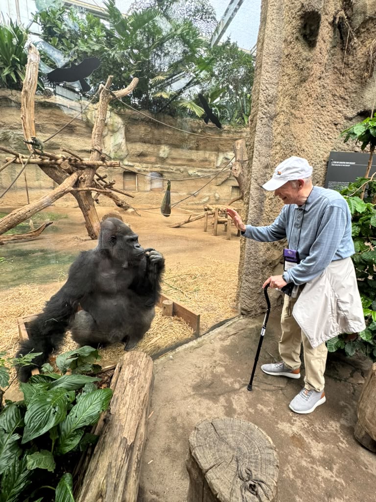 Elite Cruises Germany Zoo Elite Cruises Germany Zoo