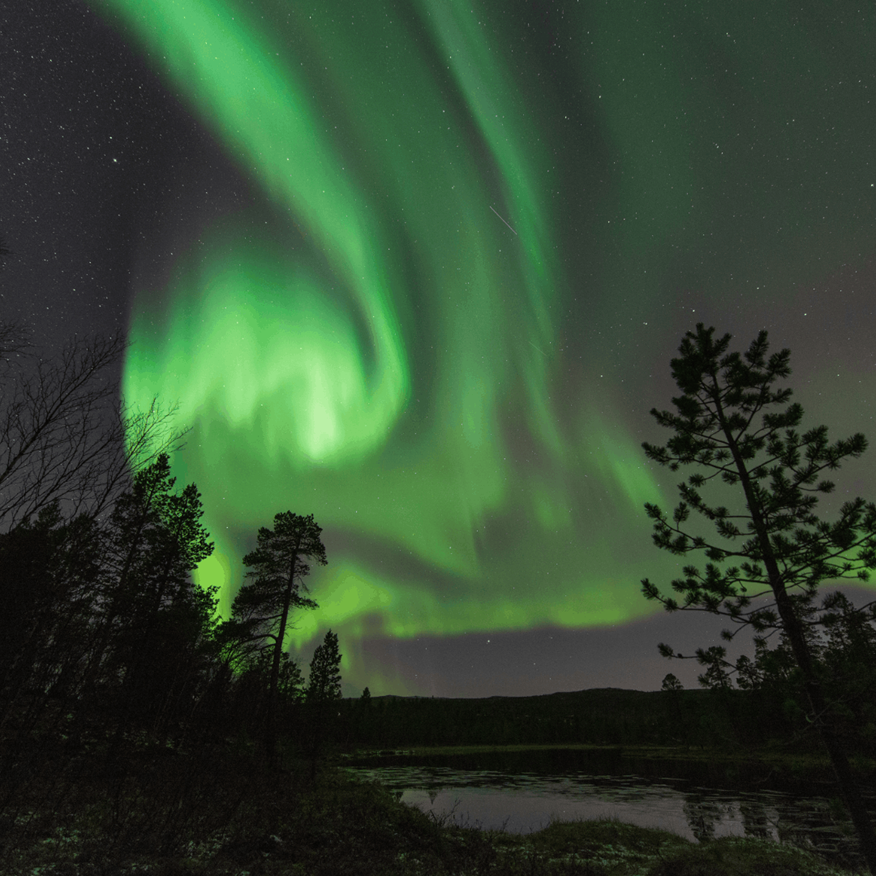 Alta Lights